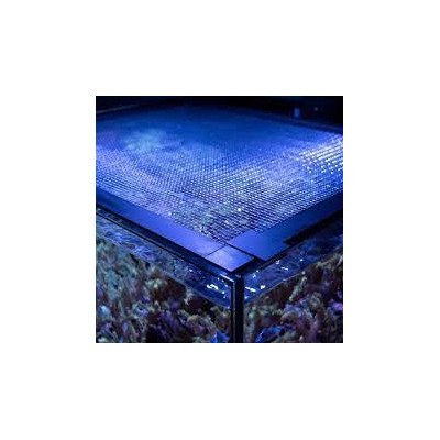 WATERBOX Mesh Lid Cube 10- Filet de protection WATERBOX Mesh Lid Cube 10- Filet de protection