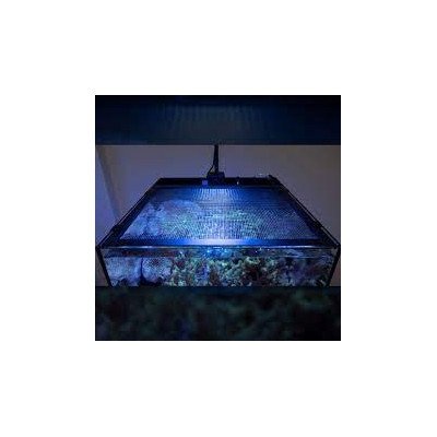 WATERBOX Mesh Lid Cube 10- Filet de protection WATERBOX Mesh Lid Cube 10- Filet de protection