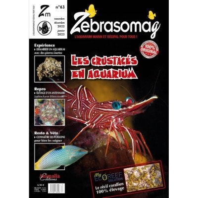 ZebrasO'mag n°63 ZebrasO'mag n°63