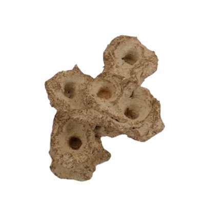 AQUAROCHE Zoa garden Mini - H 12 cm AQUAROCHE Zoa garden Mini - H 12 cm