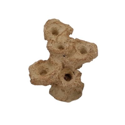 AQUAROCHE Zoa garden Mini - H 12 cm AQUAROCHE Zoa garden Mini - H 12 cm
