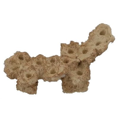 AQUAROCHE Zoa Garden Plateau Incliné- 23 x 11 x 14 H cm AQUAROCHE Zoa Garden Plateau Incliné- 23 x 11 x 14 H cm