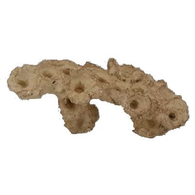 AQUAROCHE Zoa Garden Plateau Incliné- 23 x 11 x 14 H cm AQUAROCHE Zoa Garden Plateau Incliné- 23 x 11 x 14 H cm