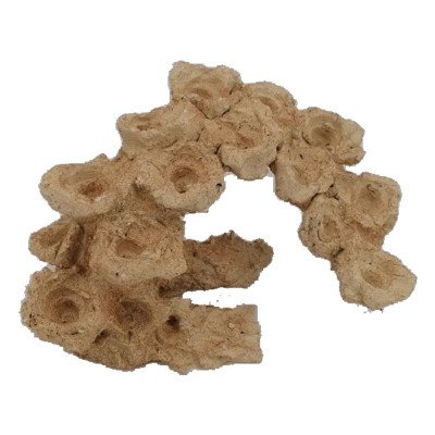 AQUAROCHE Zoa Garden Arche Courbée- H 18 cm AQUAROCHE Zoa Garden Arche Courbée- H 18 cm