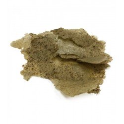 VITALIS Algenflocken 40 gr - Futter in Flocken VITALIS Algenflocken 40 gr - Futter in Flocken