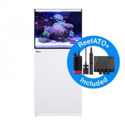 RED SEA REEFER 170 G2+- Weiß RED SEA REEFER 170 G2+- Weiß