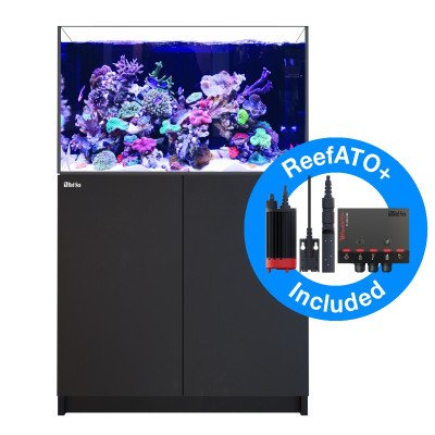 RED SEA REEFER XL 300 G2- Noir RED SEA REEFER XL 300 G2- Noir