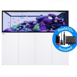 RED SEA REEFER Peninsula 950 G2+ - Weiß RED SEA REEFER Peninsula 950 G2+ - Weiß