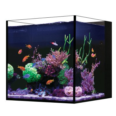 RED SEA Desktop Cube- Aquarium Nano tout équipé RED SEA Desktop Cube- Aquarium Nano tout équipé