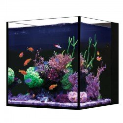 RED SEA Desktop Cube- Voll ausgestattetes Nano-Aquarium RED SEA Desktop Cube- Voll ausgestattetes Nano-Aquarium