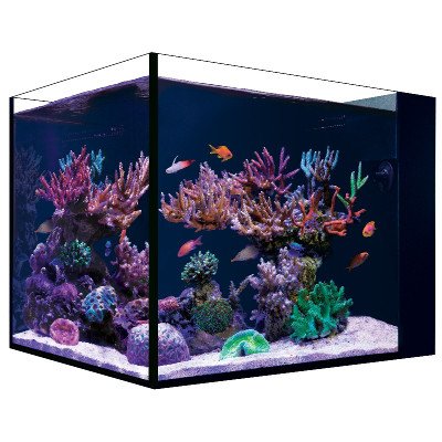 RED SEA Desktop Peninsula- Aquarium Nano Marin RED SEA Desktop Peninsula- Aquarium Nano Marin