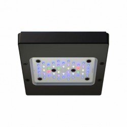 ECOTECH Radion XR15 G6 PRO – LED-Beleuchtung ECOTECH Radion XR15 G6 PRO – LED-Beleuchtung