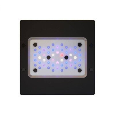 ECOTECH Radion XR15 G6 Blue- Eclairage LED