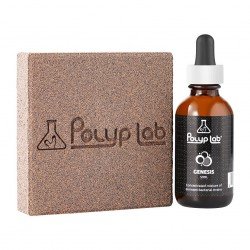 POLYPLAB Genesis Rock Booster – 2er-Pack + Bakterien 50 ml POLYPLAB Genesis Rock Booster – 2er-Pack + Bakterien 50 ml
