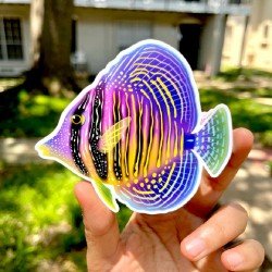 LAZY COFFEE DESIGN Aufkleber „Rainbow Sailfin Tang“ – Autocollant LAZY COFFEE DESIGN Aufkleber „Rainbow Sailfin Tang“ – Autocollant