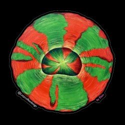 LAZY COFFEE DESIGN Aufkleber „Rainbow Sailfin Tang“ – Autocollant LAZY COFFEE DESIGN Aufkleber „Rainbow Sailfin Tang“ – Autocollant