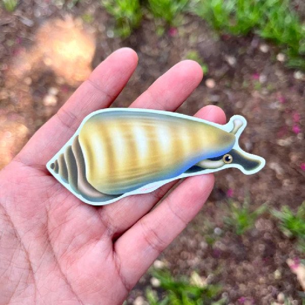 LAZY COFFEE DESIGN Tiger Conch Schnecke Aufkleber - Autocollant