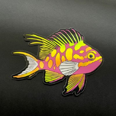 LAZY COFFEE DESIGN Blotched Anthias / Holographic - Aufkleber LAZY COFFEE DESIGN Blotched Anthias / Holographic - Aufkleber