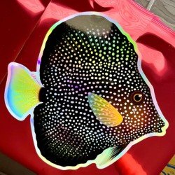 LAZY COFFEE DESIGN Gem Tang Sticker/ 10" Holographic - Autocollant LAZY COFFEE DESIGN Gem Tang Sticker/ 10" Holographic - Autocollant