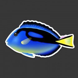 LAZY COFFEE DESIGN Aufkleber „Blue Hippo Tang“ – Autocollant LAZY COFFEE DESIGN Aufkleber „Blue Hippo Tang“ – Autocollant