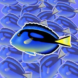 LAZY COFFEE DESIGN Aufkleber „Blue Hippo Tang“ – Autocollant LAZY COFFEE DESIGN Aufkleber „Blue Hippo Tang“ – Autocollant