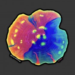 LAZY COFFEE DESIGN Regenbogen-Kelch-Aufkleber - Autocollant LAZY COFFEE DESIGN Regenbogen-Kelch-Aufkleber - Autocollant