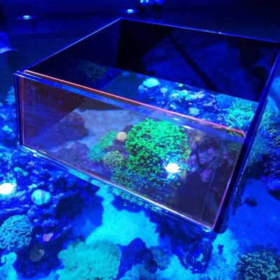 FLIPPER Top Down Viewer- Avec Filtre orange amovible FLIPPER Top Down Viewer- Avec Filtre orange amovible