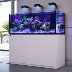 RED SEA REEFER Deluxe XXL 625 G2- Blanc RED SEA REEFER Deluxe XXL 625 G2- Blanc