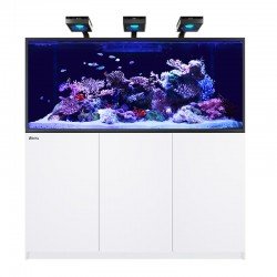ROTES MEER KÜHLSCHRANK MAX S 700 G2+ ROTES MEER KÜHLSCHRANK MAX S 700 G2+